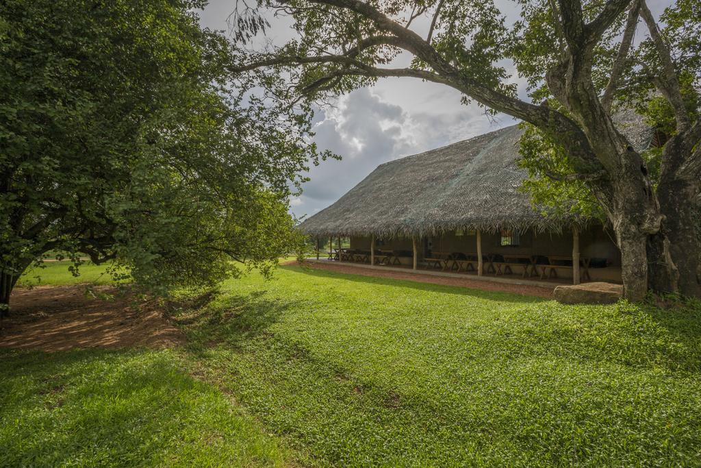 Aliya Resort And Spa - Thema Collection Sigiriya Bagian luar foto